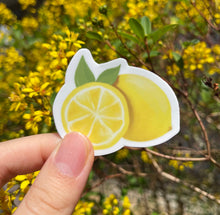 Load image into Gallery viewer, Lemon Fruit Weatherproof Sticker