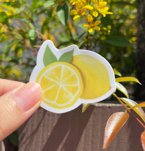 Load image into Gallery viewer, Lemon Fruit Weatherproof Sticker
